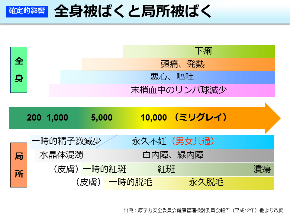 全身被ばくと局所被ばく