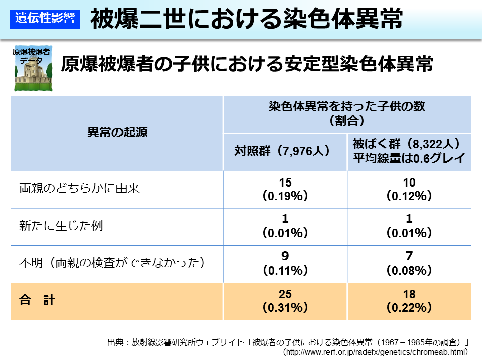 被爆二世における染色体異常