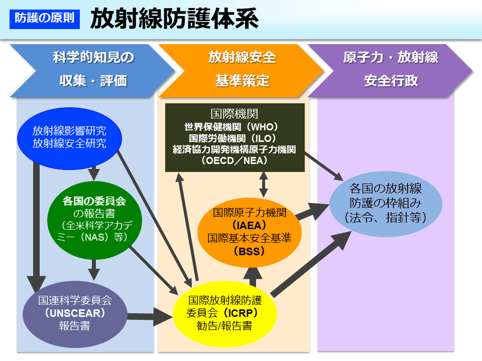 放射線防護体系