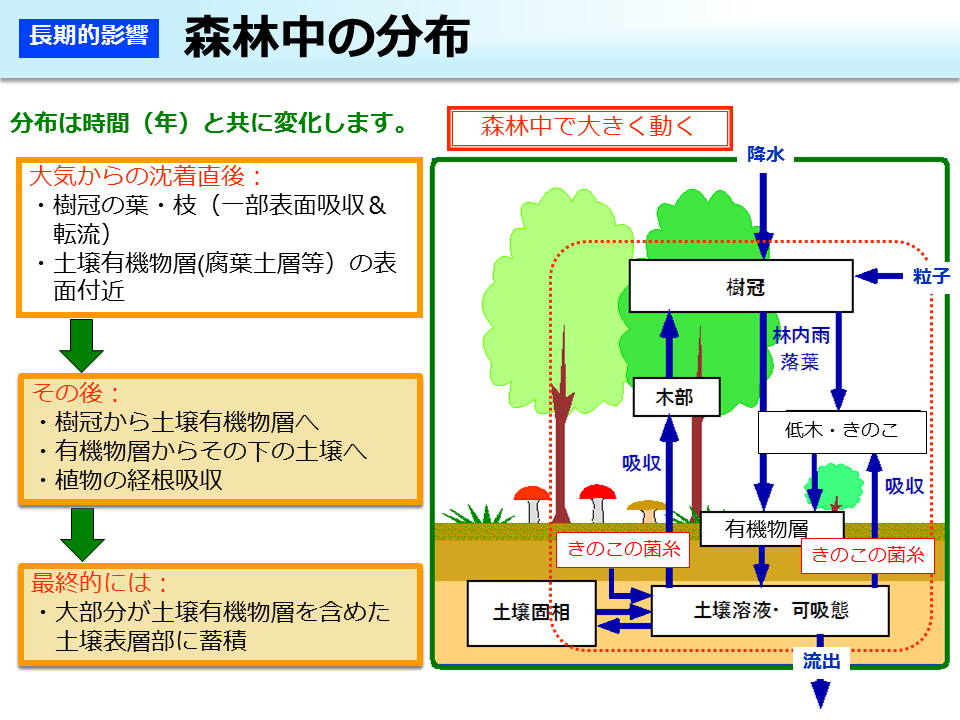 森林中の分布