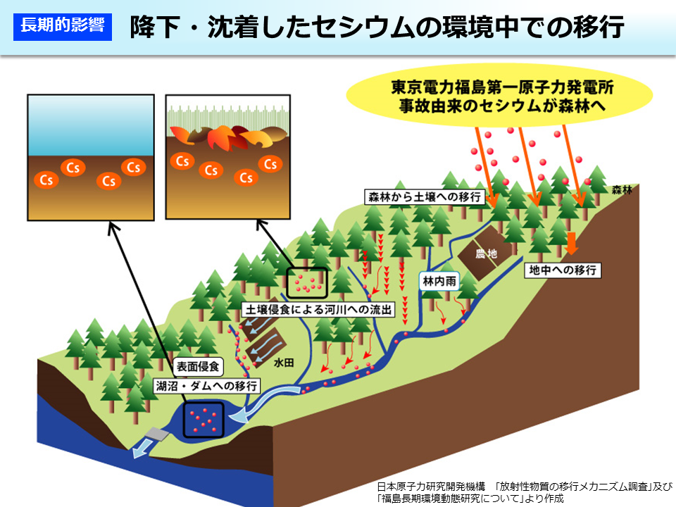 降下・沈着したセシウムの環境中での移行