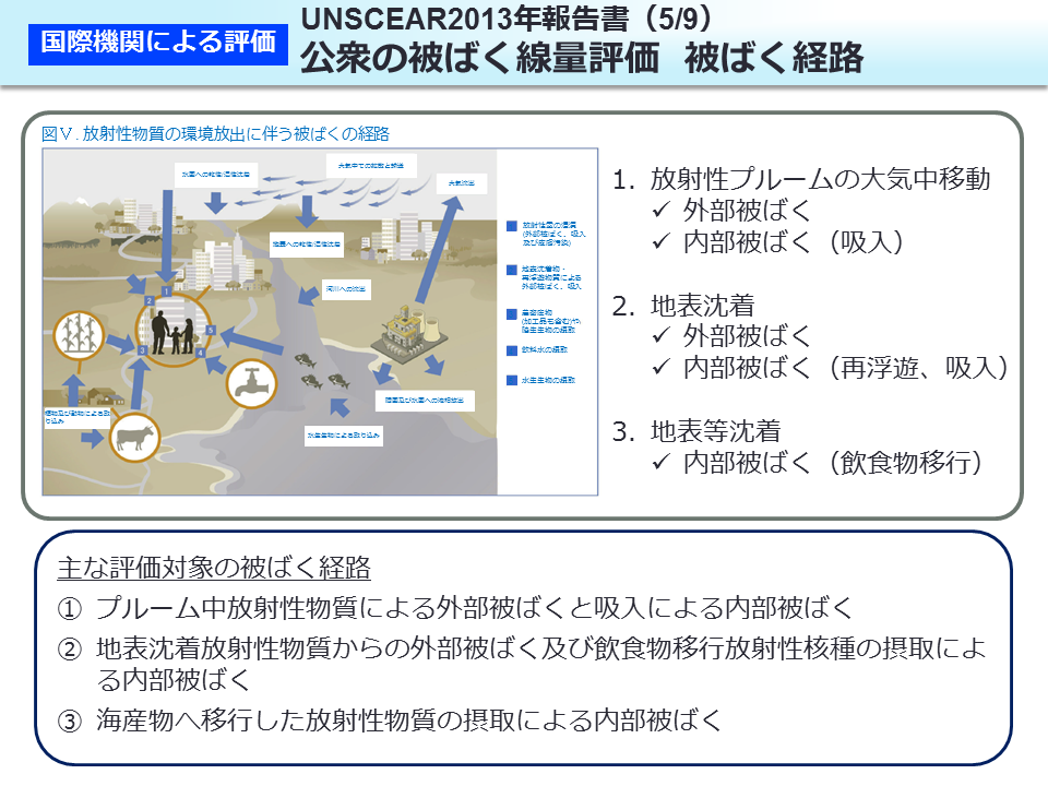 UNSCEAR2013 年報告書（5/9）公衆の被ばく線量評価 被ばく経路