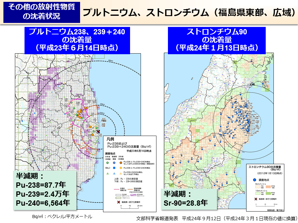 プルトニウム、ストロンチウム（福島県東部、広域）