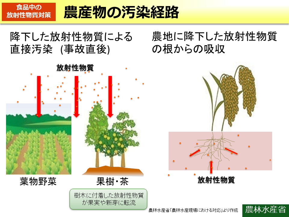 農産物の汚染経路