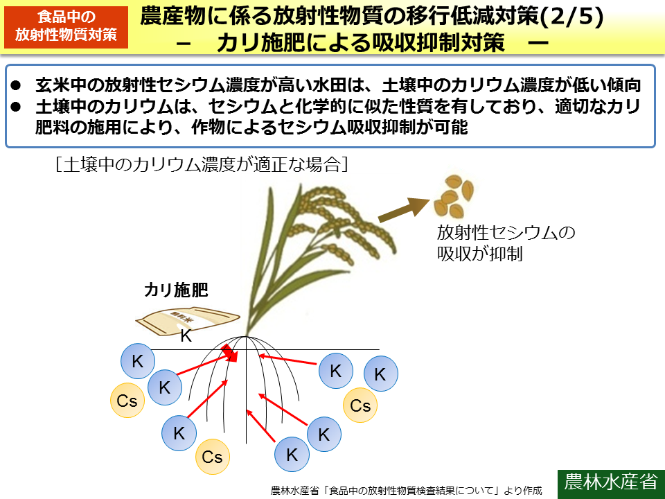 農産物に係る放射性物質の移行低減対策（2/5） -カリ施肥による吸収抑制対策-