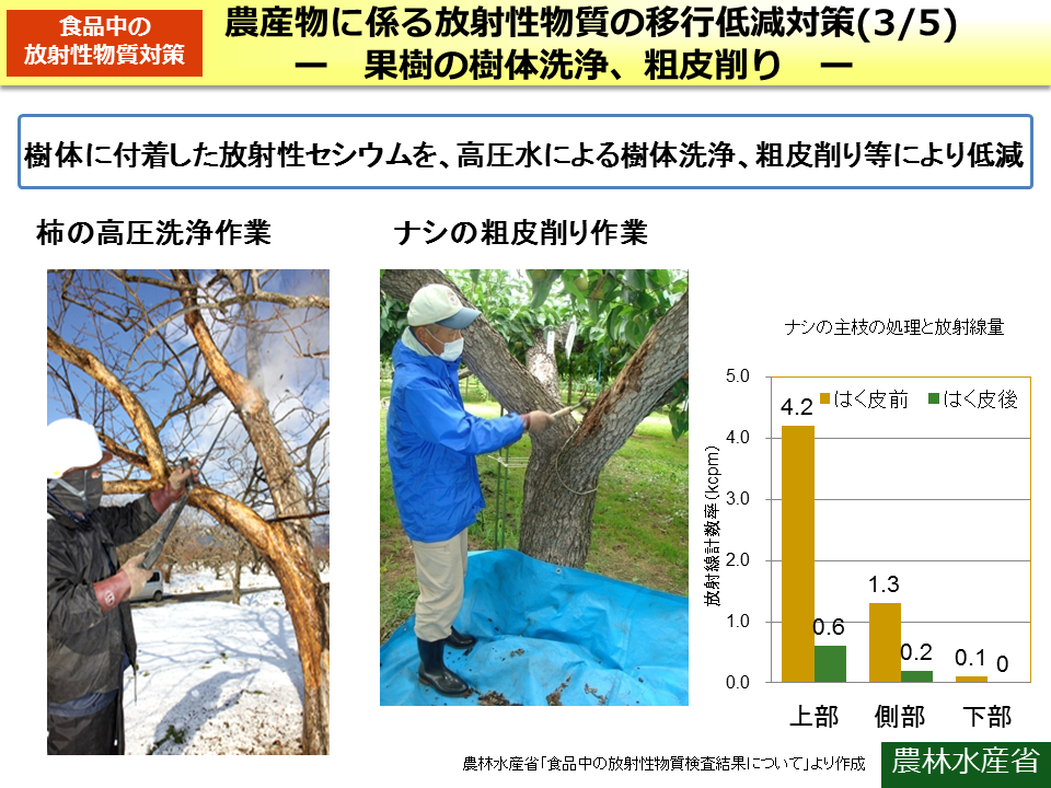 農産物に係る放射性物質の移行低減対策（3/5） -果樹の樹体洗浄、粗皮削り-