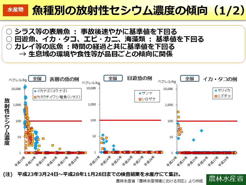 魚種別の放射性セシウム濃度の傾向（1/2）