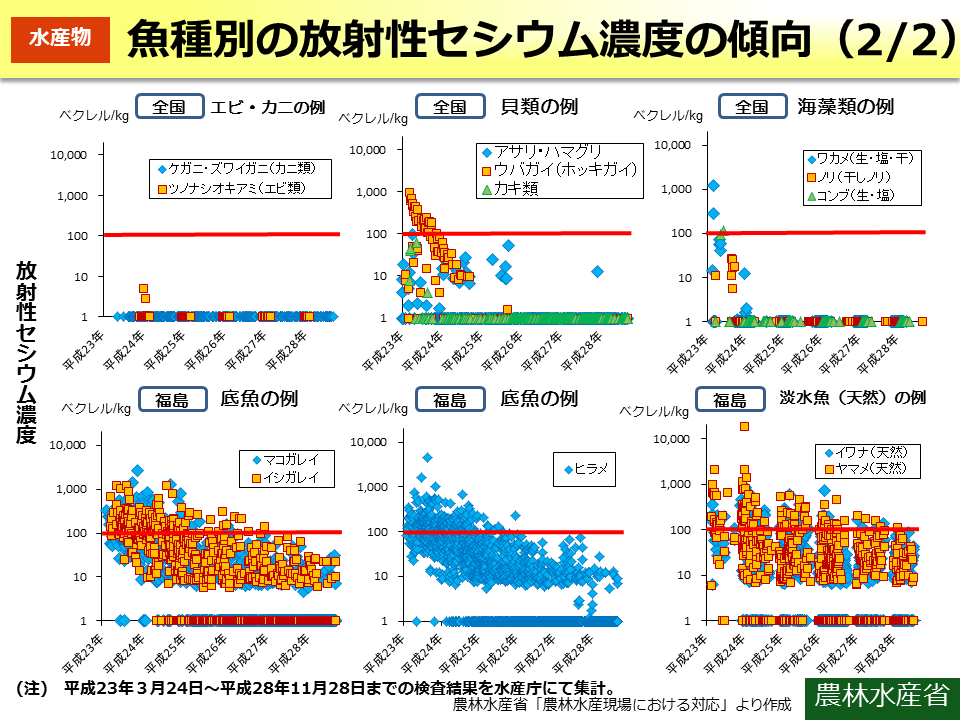 魚種別の放射性セシウム濃度の傾向（2/2）