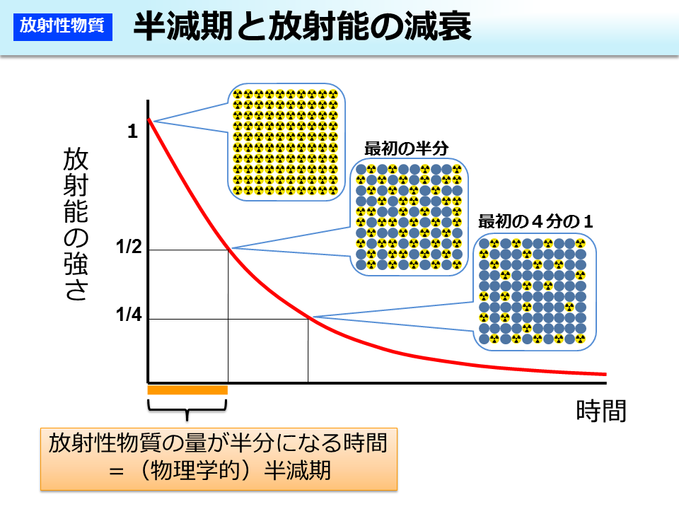 半減期と放射能の減衰