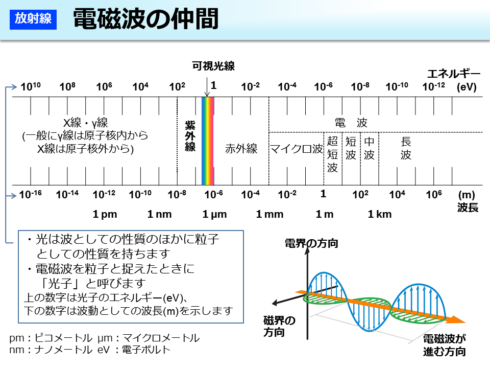 電磁波の仲間