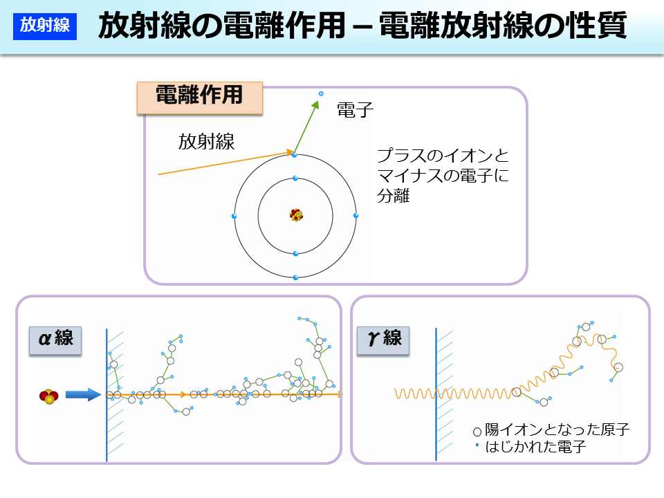 放射線の電離作用－電離放射線の性質