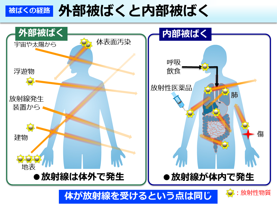 外部被ばくと内部被ばく