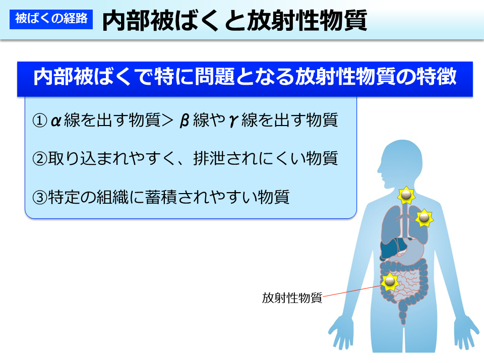 内部被ばくと放射性物質