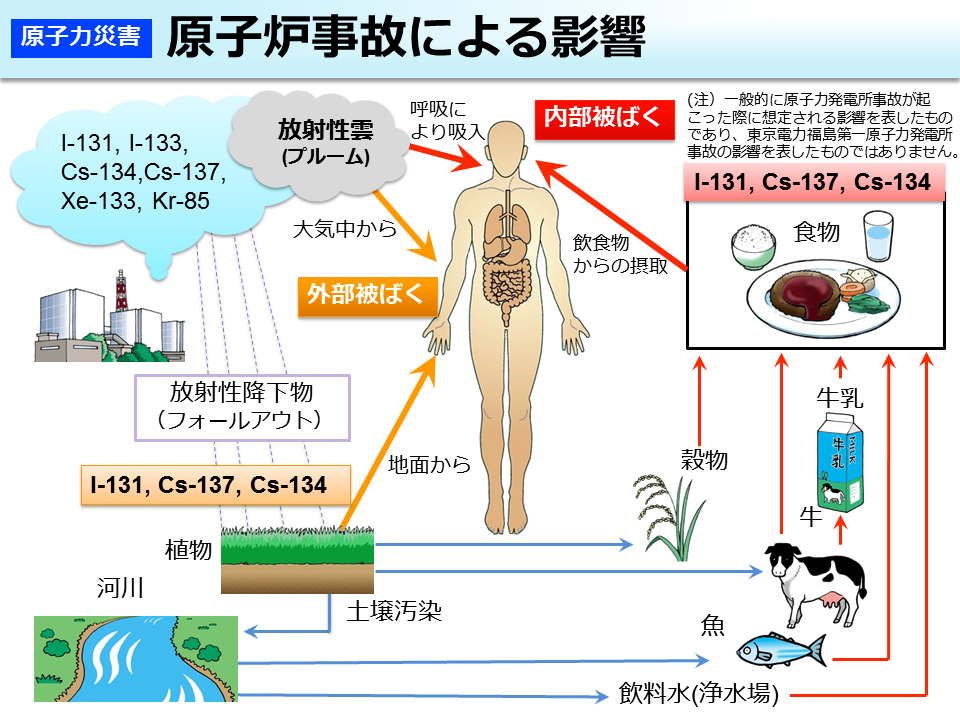 原子炉事故による影響