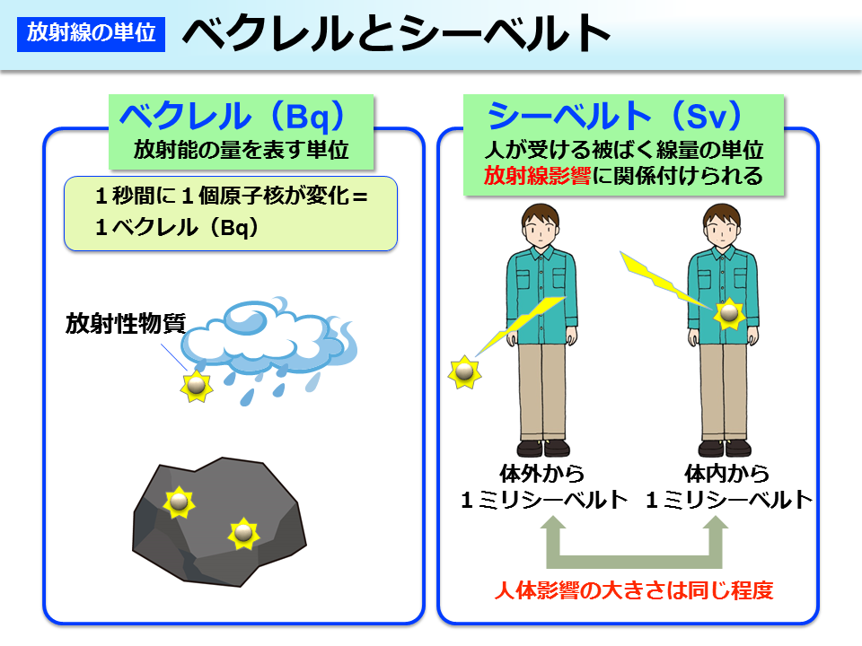 ベクレルとシーベルト