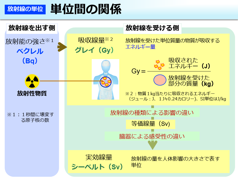 単位間の関係