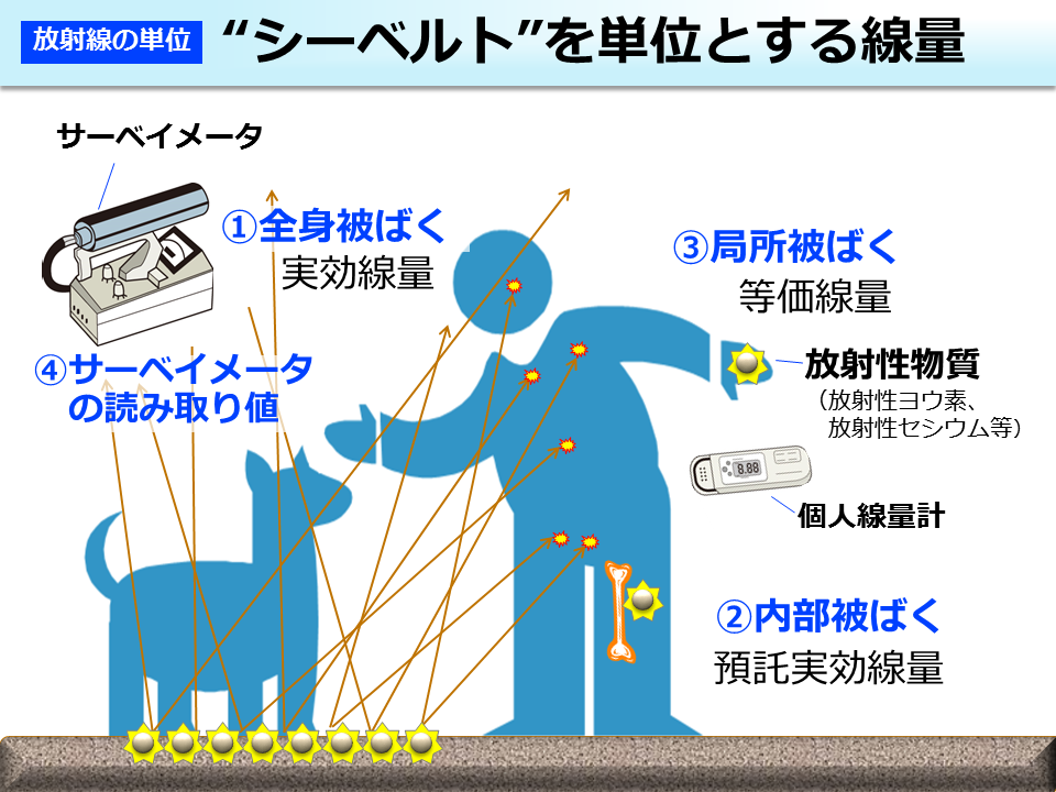 "シーベルト"を単位とする線量