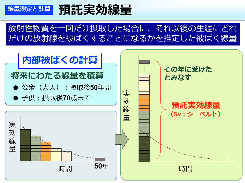 預託実効線量