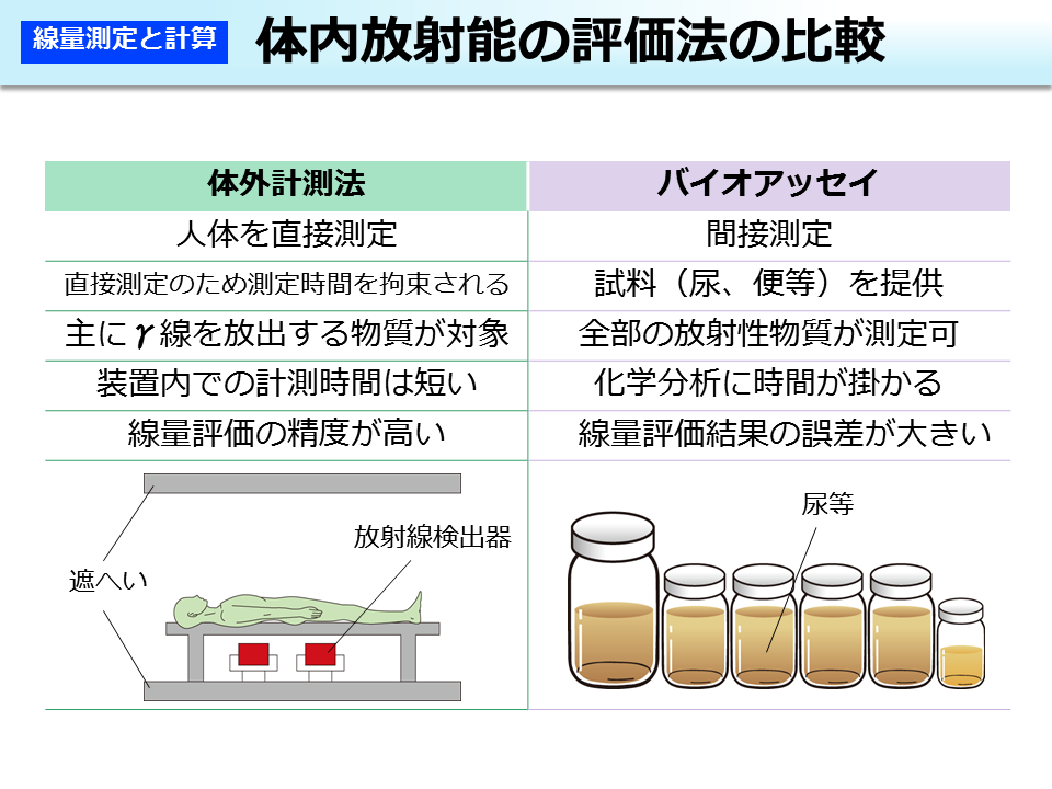 体内放射能の評価法の比較