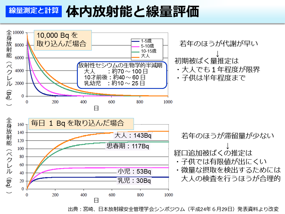 体内放射能と線量評価