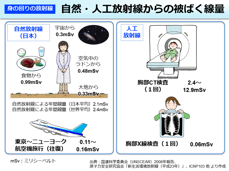 放射線を発散させて人の生命等に危険を生じさせる行為等の処罰に関する法律