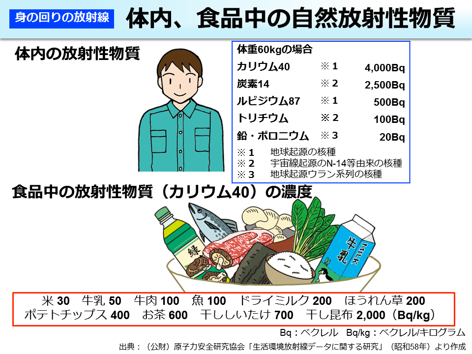 体内、食品中の自然放射性物質