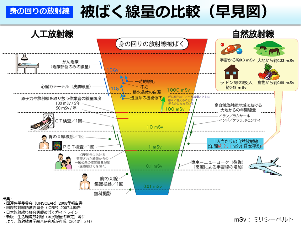 放射線による健康影響等に関する統一的な基礎資料（平成２９年度版、 ＨＴＭＬ形式）