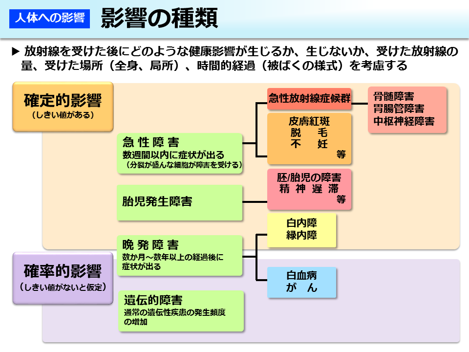 影響の種類