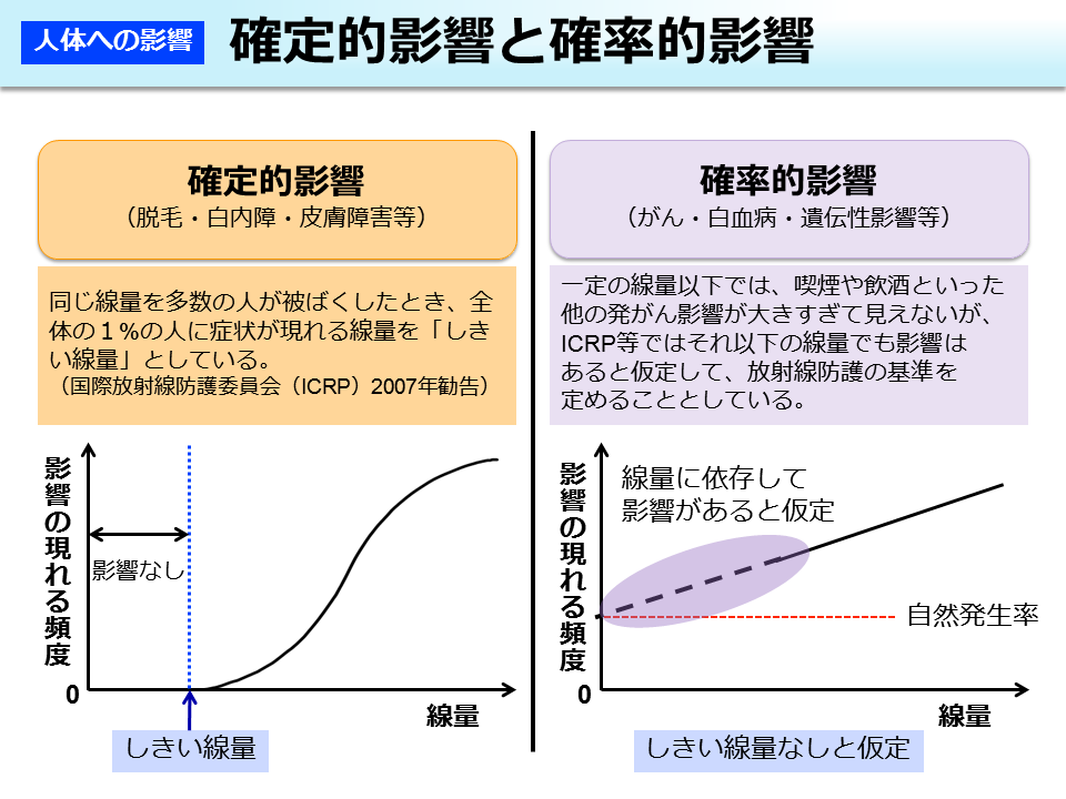 画像確定