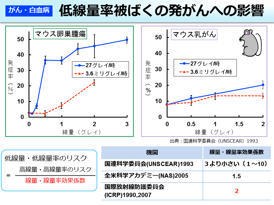 低線量率被ばくの発がんへの影響