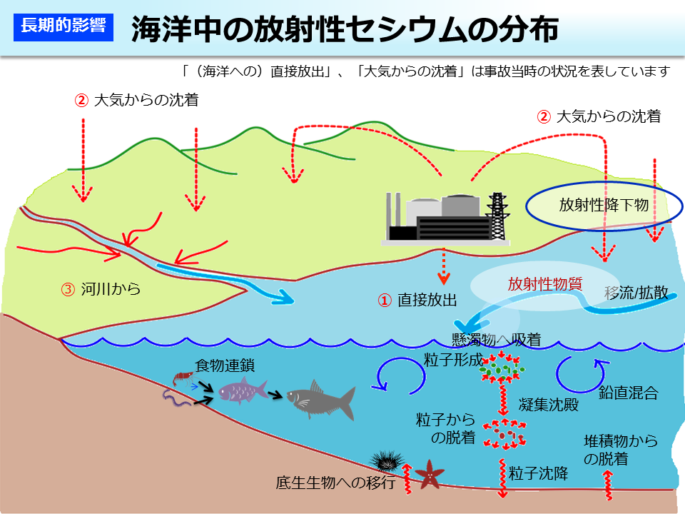 海洋中の放射性セシウムの分布