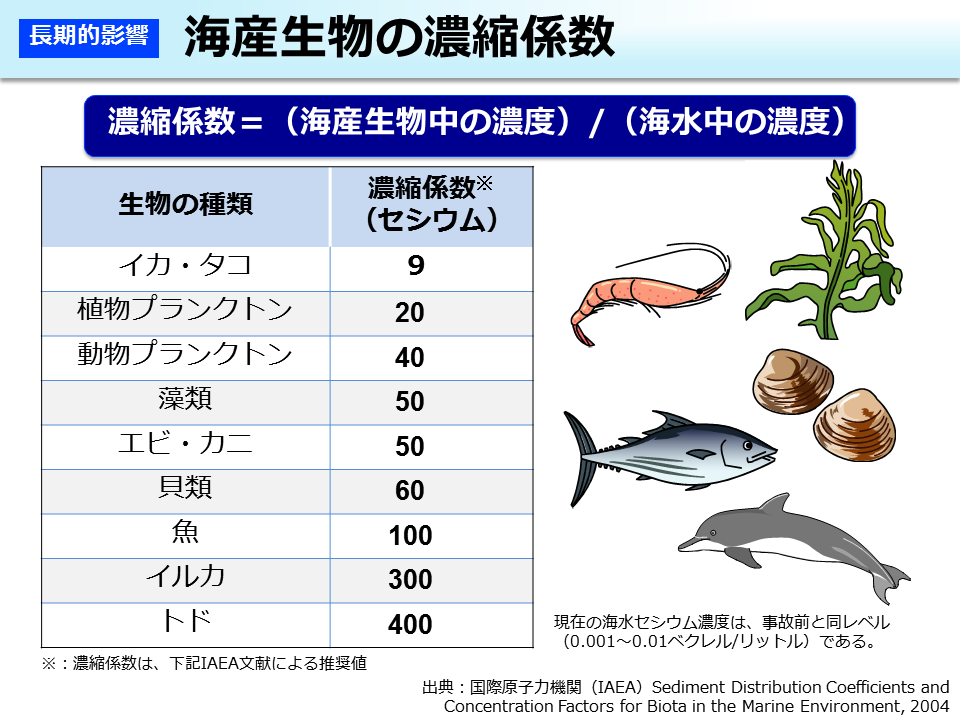 海産生物の濃縮係数