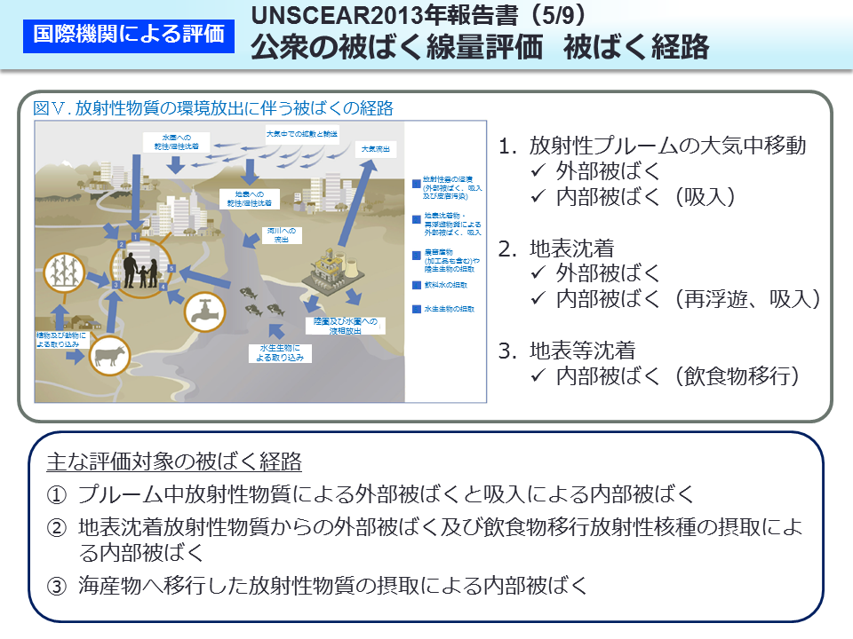 UNSCEAR2013 年報告書（5/9）公衆の被ばく線量評価 被ばく経路