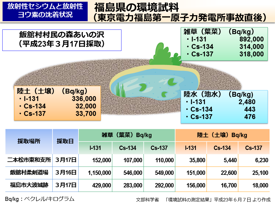 福島県の環境試料（東京電力福島第一原子力発電所事故直後）