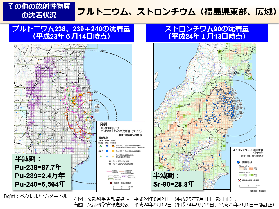 プルトニウム、ストロンチウム（福島県東部、広域）