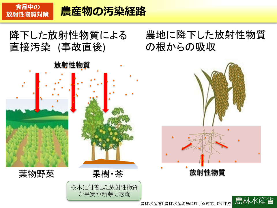 農産物の汚染経路