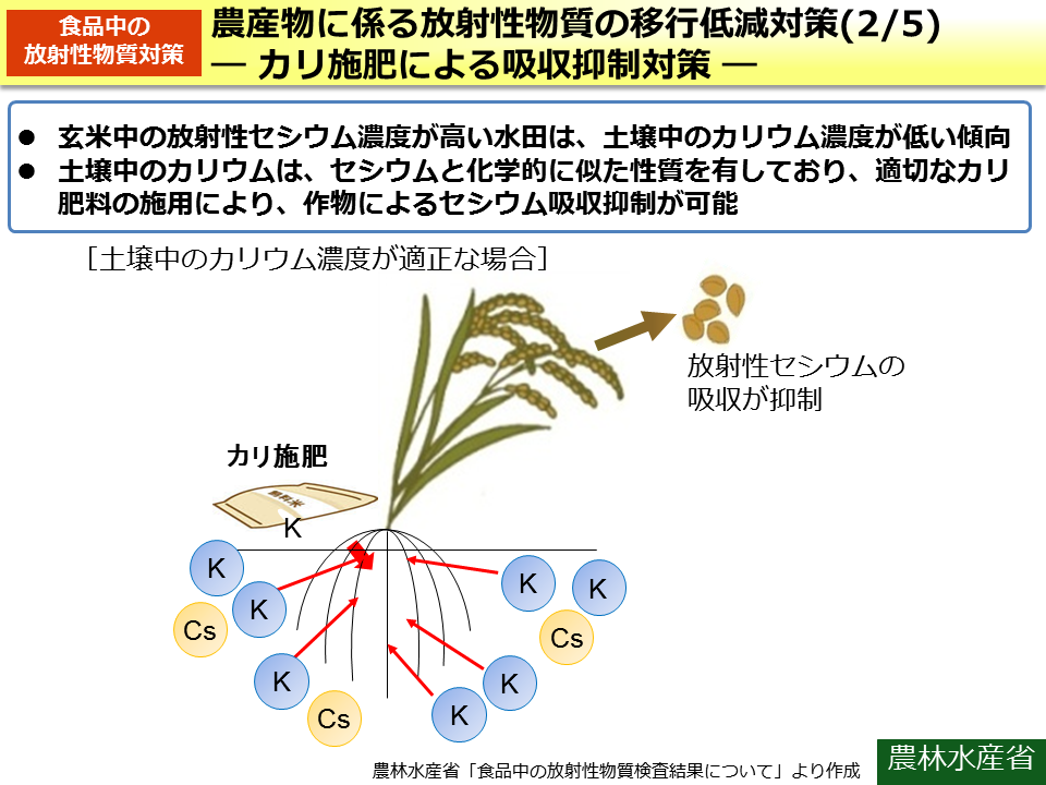 農産物に係る放射性物質の移行低減対策（2/5）－ カリ施肥による吸収抑制対策 －