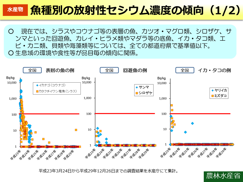 魚種別の放射性セシウム濃度の傾向（1/2）