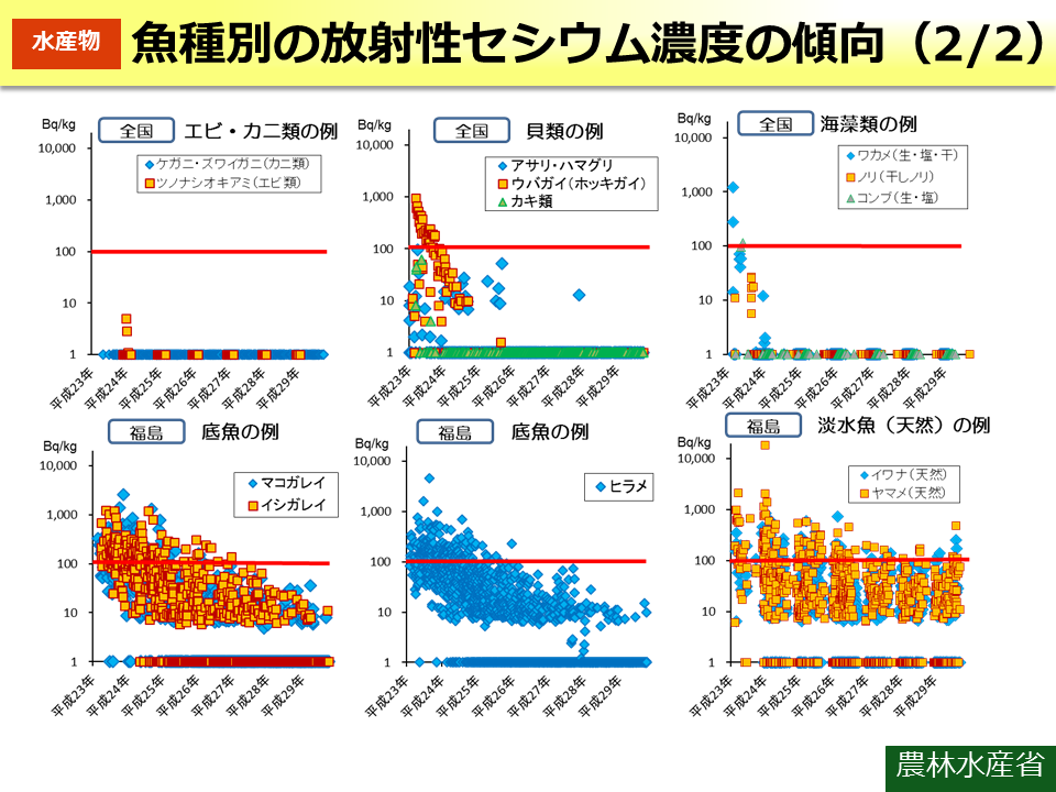 魚種別の放射性セシウム濃度の傾向（2/2）