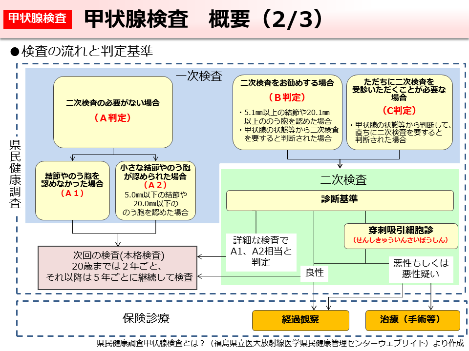 甲状腺検査 概要（2/3）