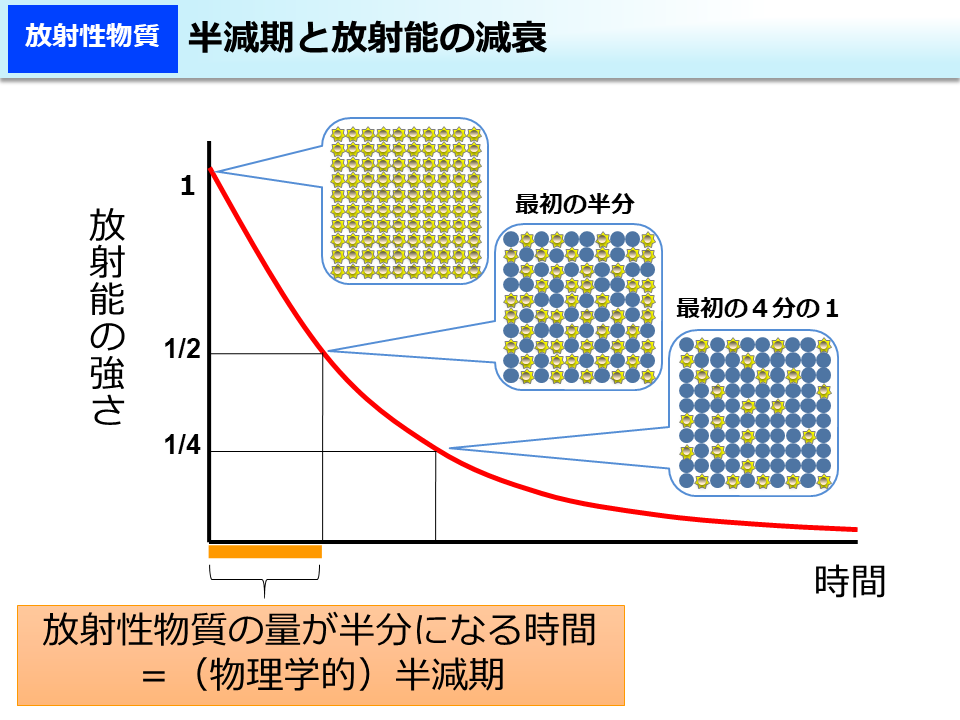 半減期と放射能の減衰