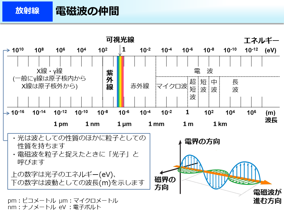 電磁波の仲間