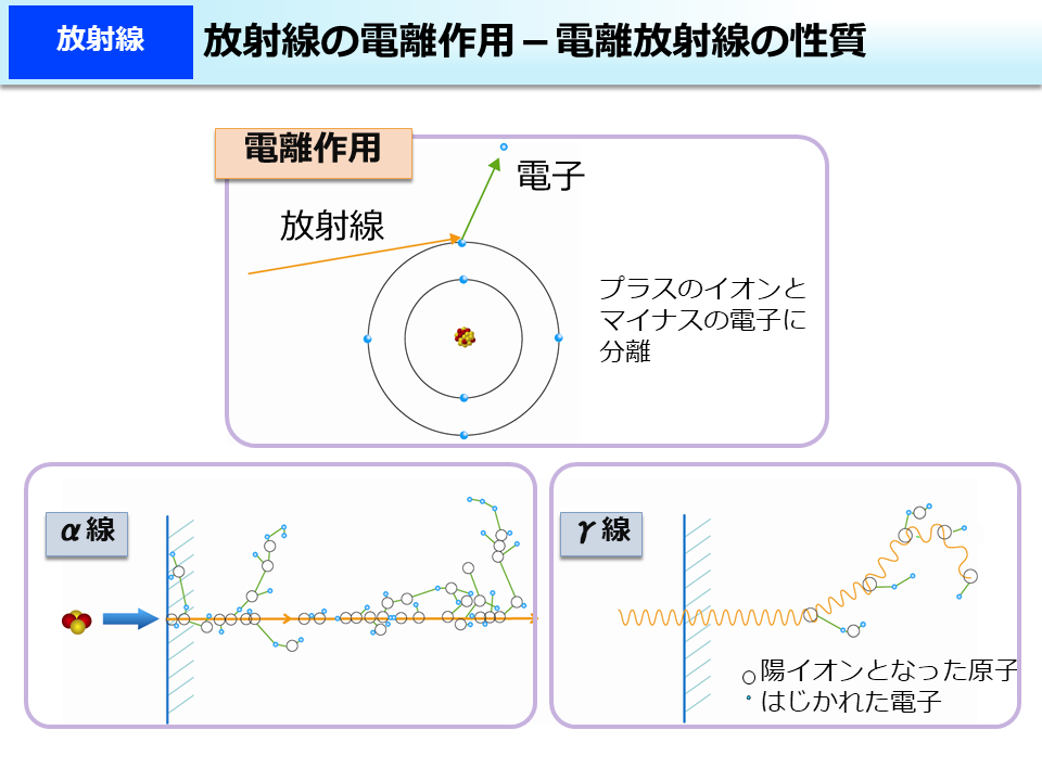 放射線の電離作用－電離放射線の性質