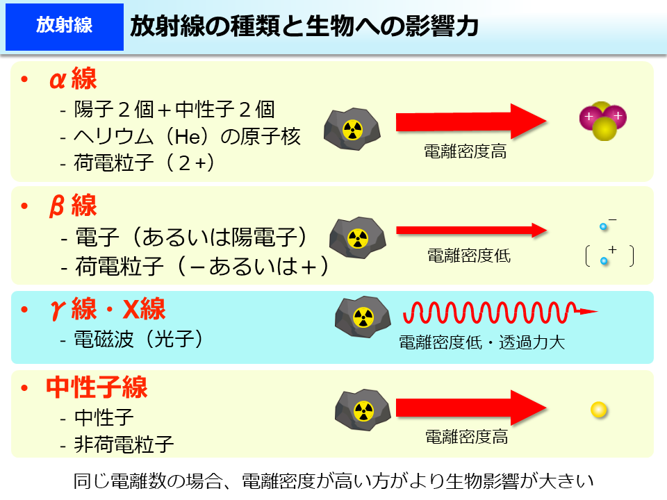 放射線の種類と生物への影響力