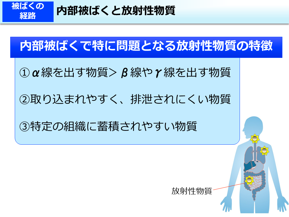 内部被ばくと放射性物質