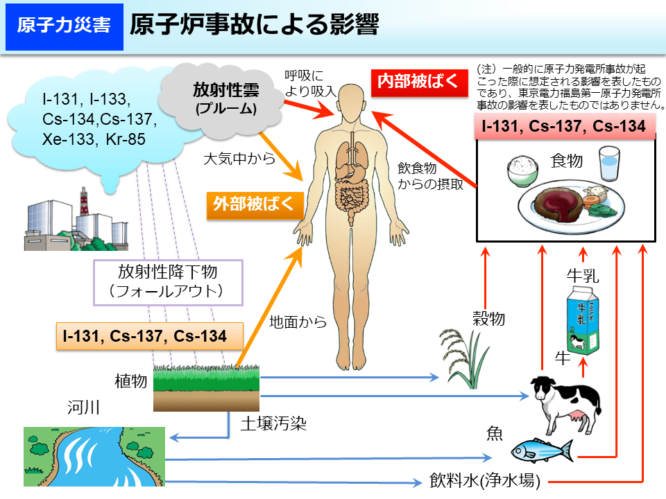 原子炉事故による影響