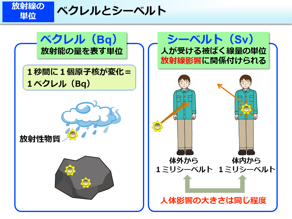 ベクレルとシーベルト