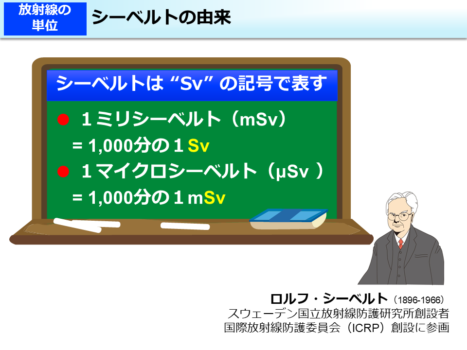 シーベルトの由来