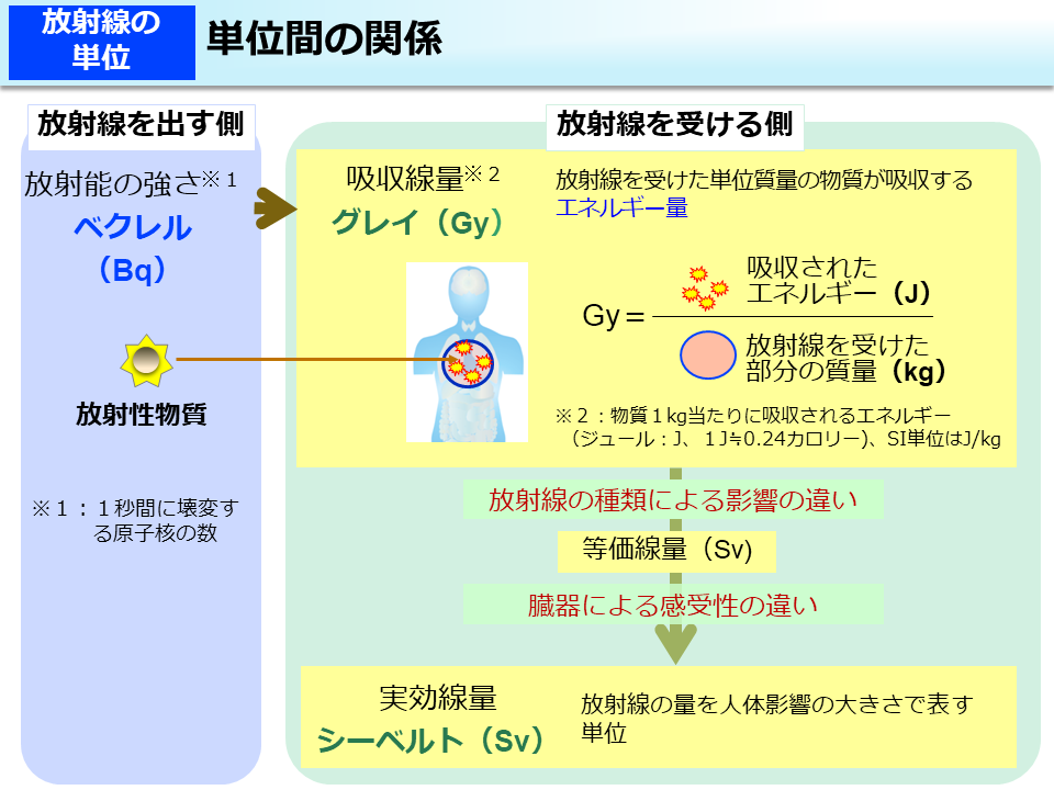 単位間の関係