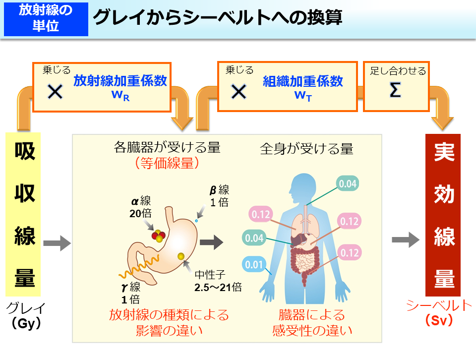 グレイからシーベルトへの換算